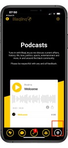 Access the blaqlinq podcast